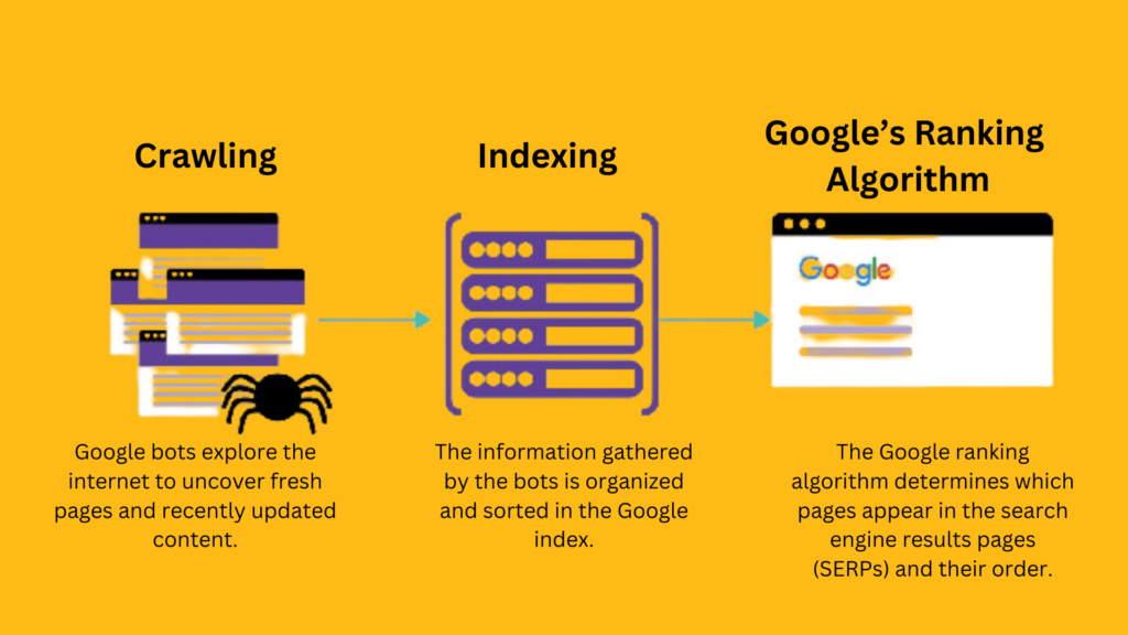 Google's Ranking Algorithms